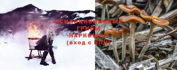 Альфа ПВП Богородск