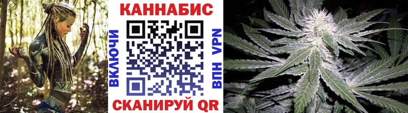Шишки марихуана гибрид  где продают наркотики  ОМГ ОМГ вход  Кузнецк 